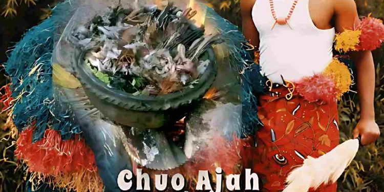 Chuo Ajah by Prince Lyxxx mp3 Download