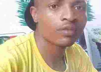 Biography of Young Flexy