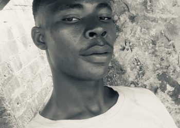 The Normal by Para d mp3 Download