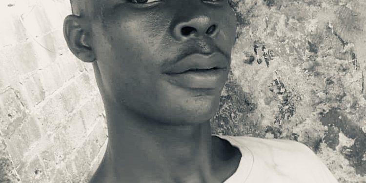 The Normal by Para d mp3 Download