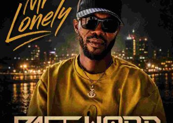 Mr Lonely by Password mp3 Download